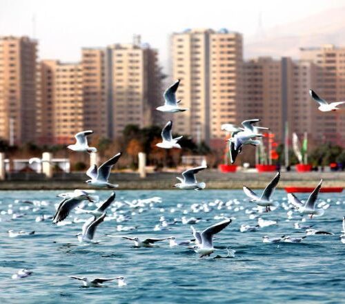 هتل آپارتمان نزدیک چیتگر